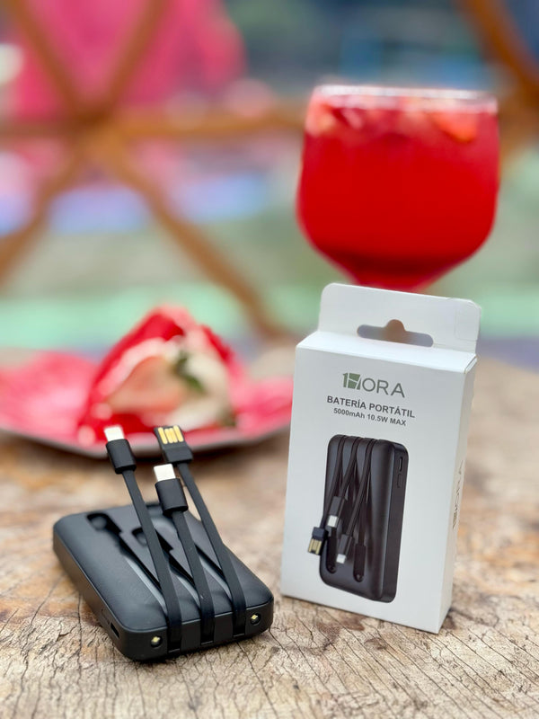 🔋 POWER BANK 5000 mAh GAR261 1 HORA ⚡